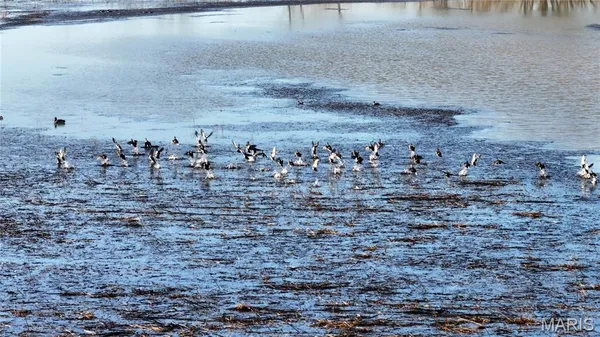 $900,000 | 0 Outlet Road, Valmeyer, IL 62295