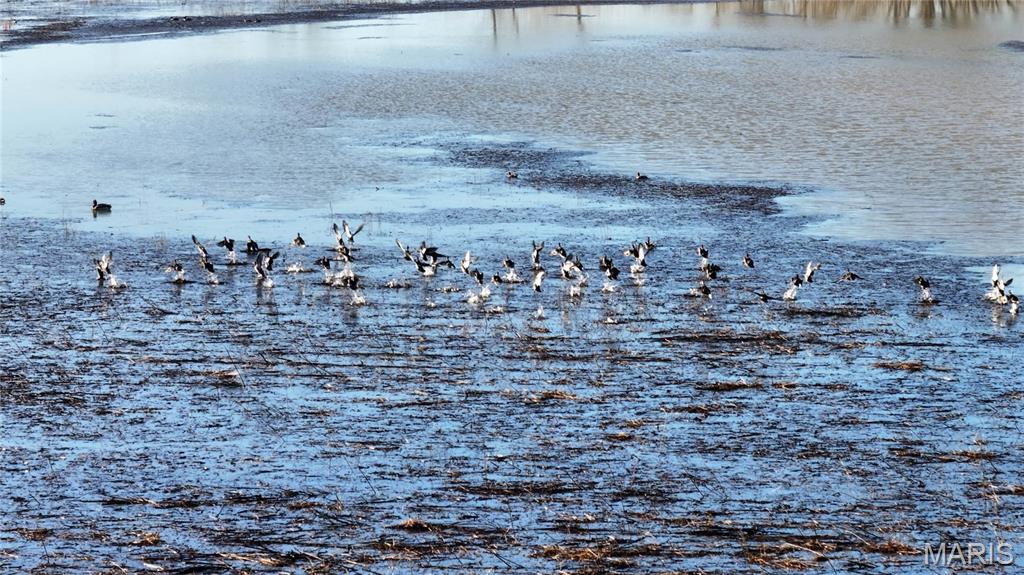 0 Outlet Road Valmeyer, IL 62295 - Photo 49 of 99