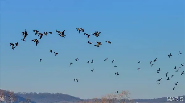 $900,000 | 0 Outlet Road, Valmeyer, IL 62295