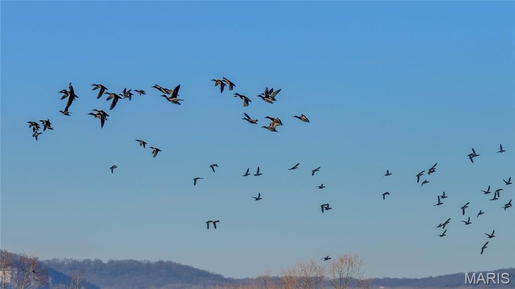 0 Outlet Road Valmeyer, IL 62295 - Photo 50 of 99