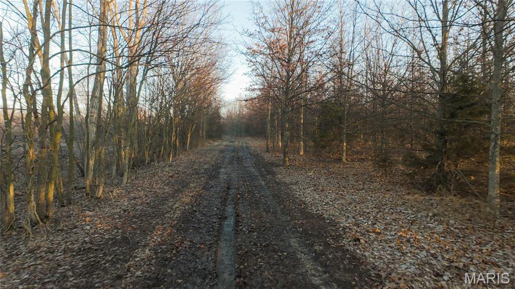 0 Outlet Road Valmeyer, IL 62295 - Photo 52 of 99