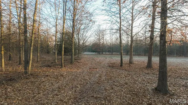 $900,000 | 0 Outlet Road, Valmeyer, IL 62295