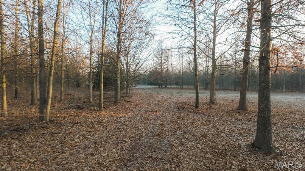 0 Outlet Road Valmeyer, IL 62295 - Photo 53 of 99