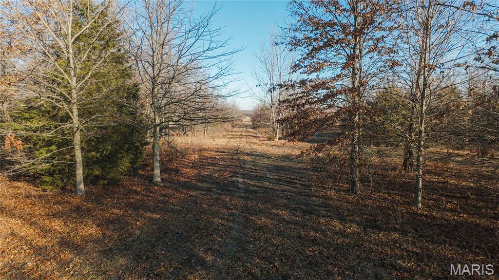 0 Outlet Road Valmeyer, IL 62295 - Photo 56 of 99