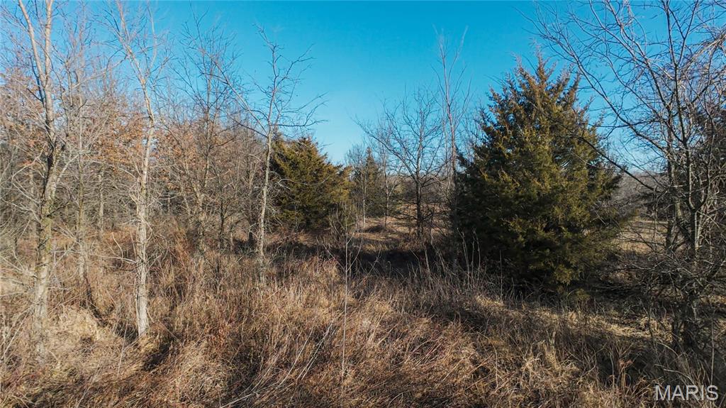 0 Outlet Road Valmeyer, IL 62295 - Photo 57 of 99