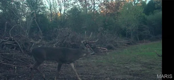 $900,000 | 0 Outlet Road, Valmeyer, IL 62295