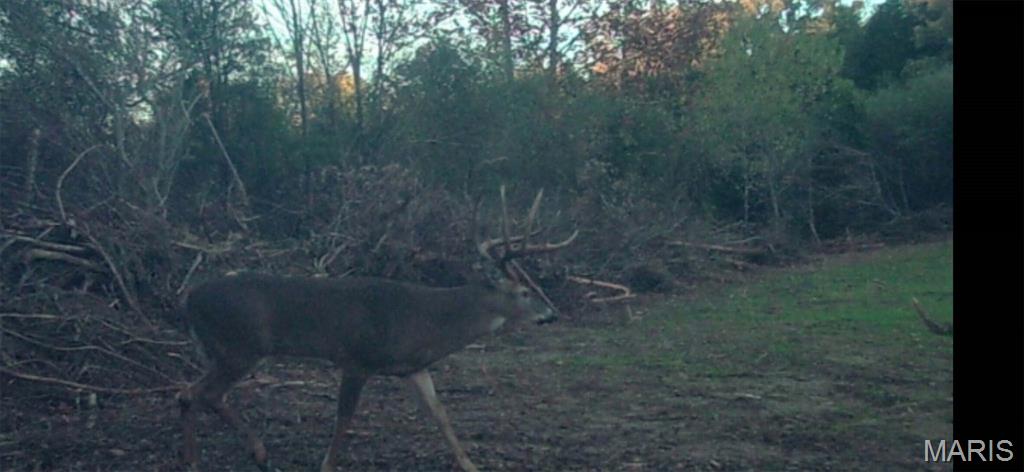 0 Outlet Road Valmeyer, IL 62295 - Photo 61 of 99