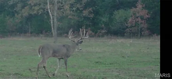 $900,000 | 0 Outlet Road, Valmeyer, IL 62295