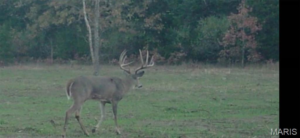 0 Outlet Road Valmeyer, IL 62295 - Photo 62 of 99