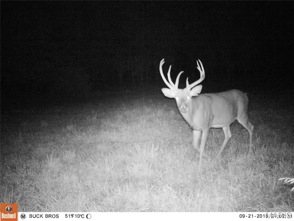 $900,000 | 0 Outlet Road, Valmeyer, IL 62295