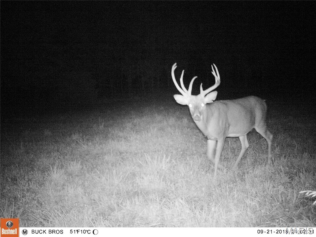 0 Outlet Road Valmeyer, IL 62295 - Photo 63 of 99