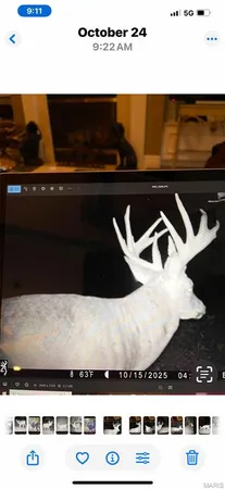 $900,000 | 0 Outlet Road, Valmeyer, IL 62295