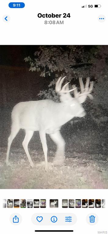 0 Outlet Road Valmeyer, IL 62295 - Photo 65 of 99