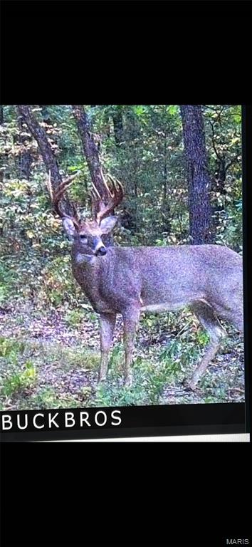 0 Outlet Road Valmeyer, IL 62295 - Photo 66 of 99