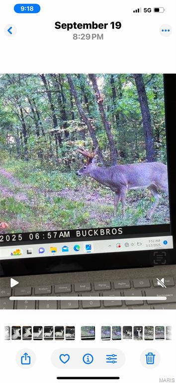 0 Outlet Road Valmeyer, IL 62295 - Photo 67 of 99