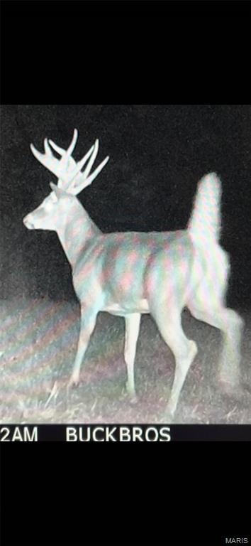 0 Outlet Road Valmeyer, IL 62295 - Photo 68 of 99