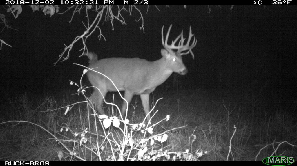 0 Outlet Road Valmeyer, IL 62295 - Photo 69 of 99