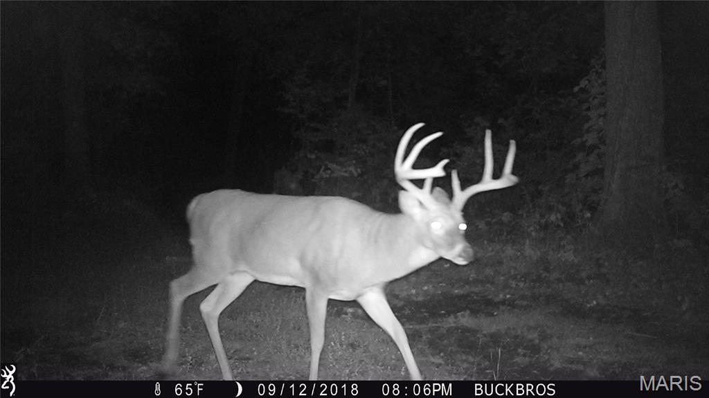 0 Outlet Road Valmeyer, IL 62295 - Photo 70 of 99