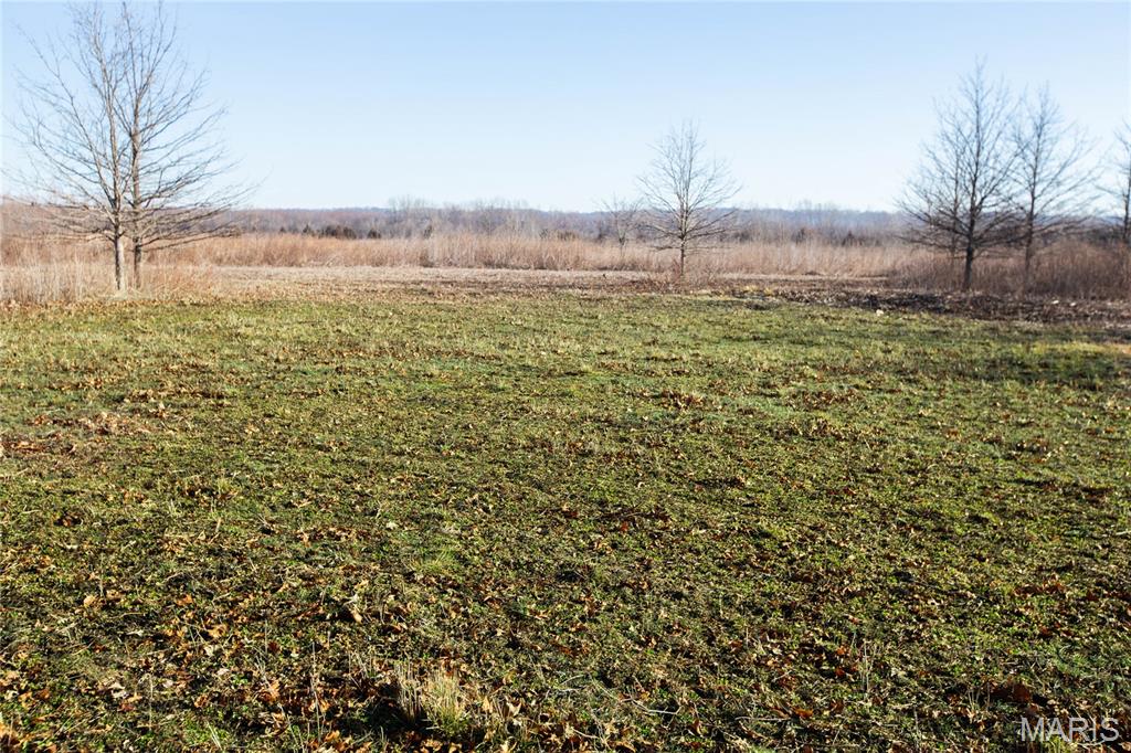 0 Outlet Road Valmeyer, IL 62295 - Photo 7 of 99