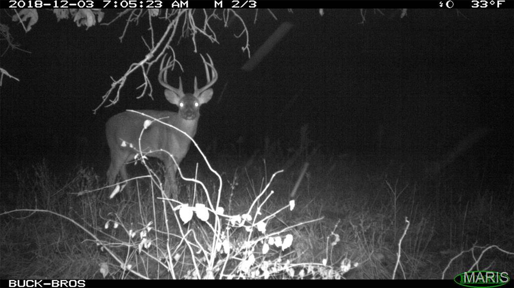 0 Outlet Road Valmeyer, IL 62295 - Photo 71 of 99