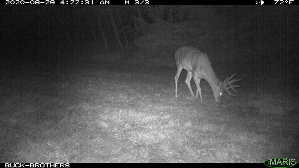 0 Outlet Road Valmeyer, IL 62295 - Photo 72 of 99