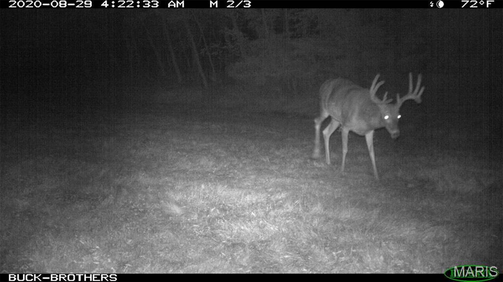 0 Outlet Road Valmeyer, IL 62295 - Photo 73 of 99