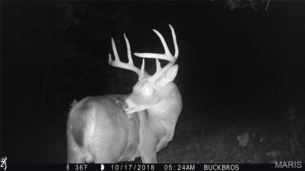 0 Outlet Road Valmeyer, IL 62295 - Photo 74 of 99