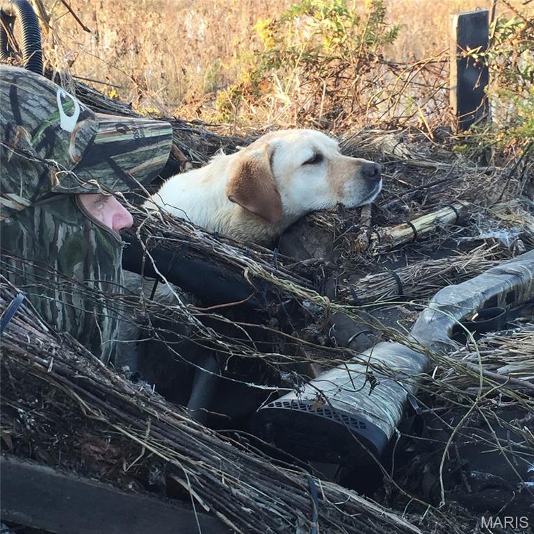 0 Outlet Road Valmeyer, IL 62295 - Photo 75 of 99