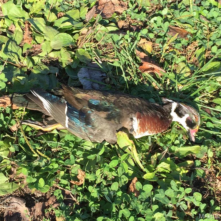 0 Outlet Road Valmeyer, IL 62295 - Photo 77 of 99