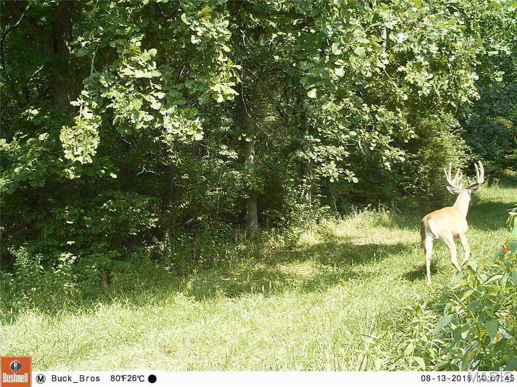 0 Outlet Road Valmeyer, IL 62295 - Photo 79 of 99