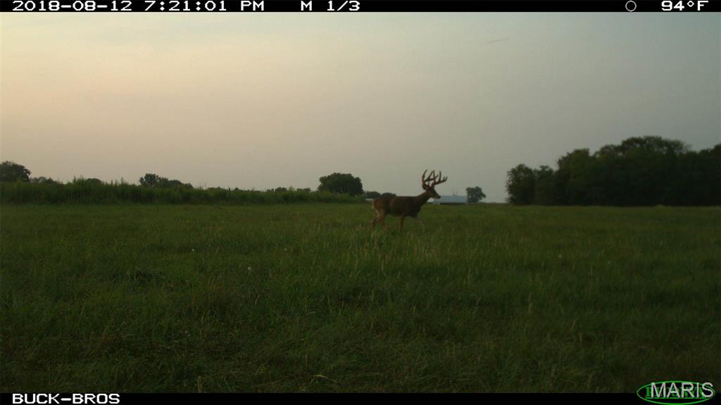 0 Outlet Road Valmeyer, IL 62295 - Photo 80 of 99