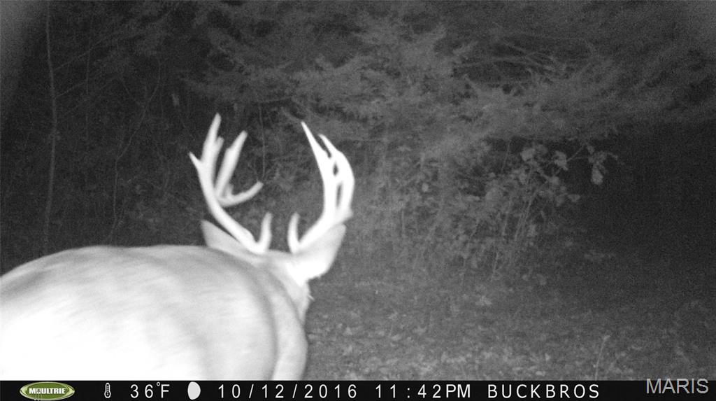 0 Outlet Road Valmeyer, IL 62295 - Photo 81 of 99