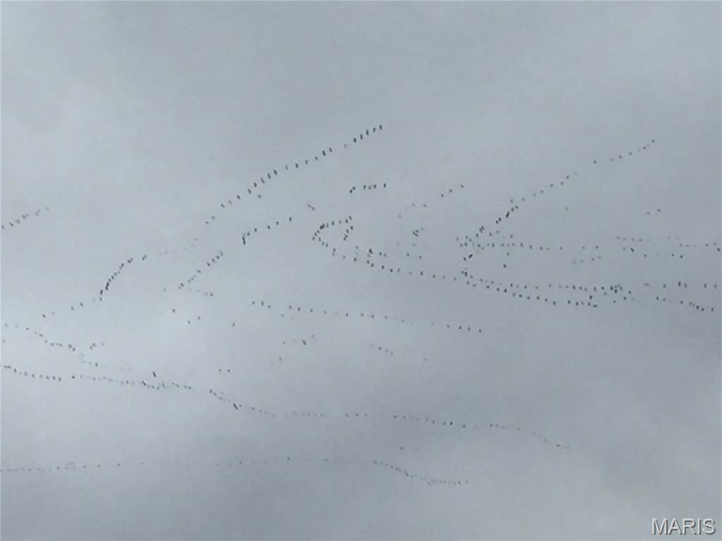 0 Outlet Road Valmeyer, IL 62295 - Photo 82 of 99