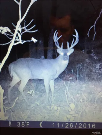 $900,000 | 0 Outlet Road, Valmeyer, IL 62295