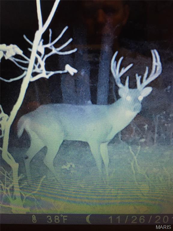 0 Outlet Road Valmeyer, IL 62295 - Photo 84 of 99