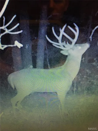 $900,000 | 0 Outlet Road, Valmeyer, IL 62295