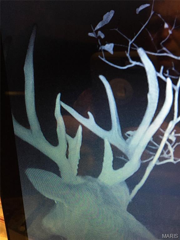 0 Outlet Road Valmeyer, IL 62295 - Photo 86 of 99