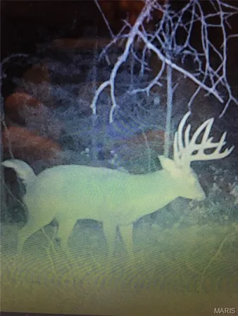 $900,000 | 0 Outlet Road, Valmeyer, IL 62295