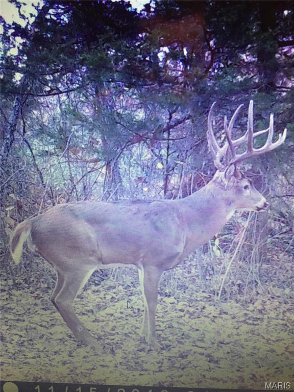 0 Outlet Road Valmeyer, IL 62295 - Photo 88 of 99