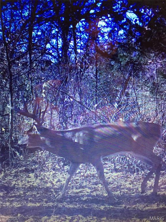 0 Outlet Road Valmeyer, IL 62295 - Photo 89 of 99