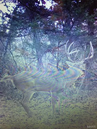 $900,000 | 0 Outlet Road, Valmeyer, IL 62295