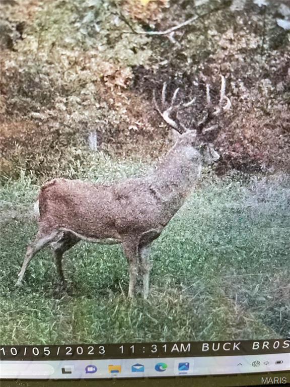 0 Outlet Road Valmeyer, IL 62295 - Photo 92 of 99