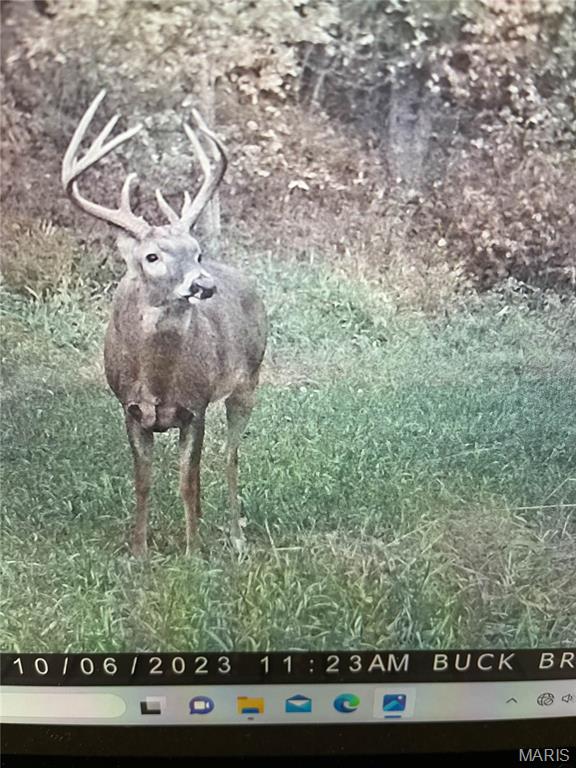 0 Outlet Road Valmeyer, IL 62295 - Photo 93 of 99