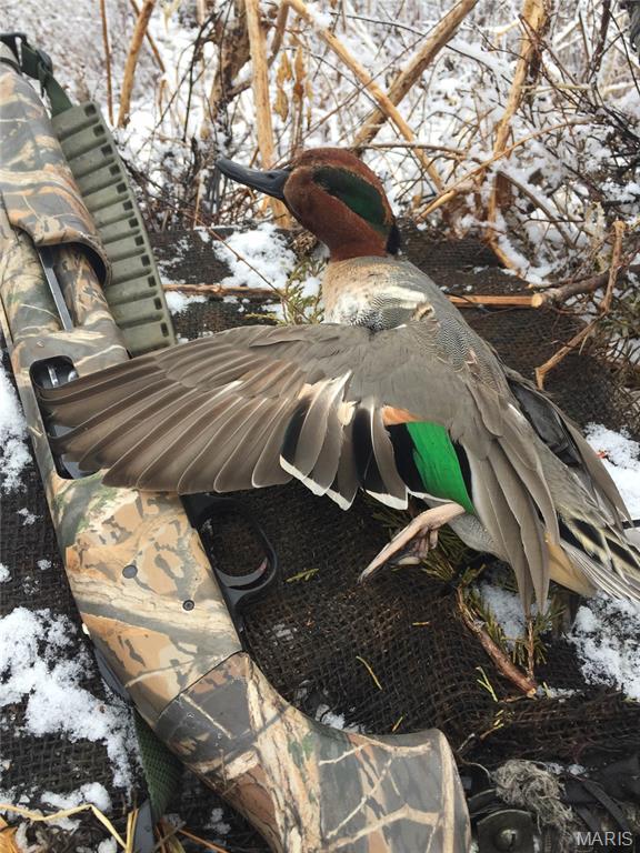 0 Outlet Road Valmeyer, IL 62295 - Photo 95 of 99