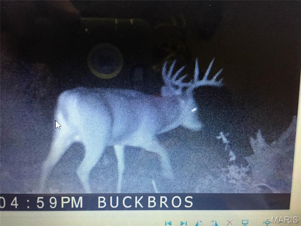 0 Outlet Road Valmeyer, IL 62295 - Photo 96 of 99