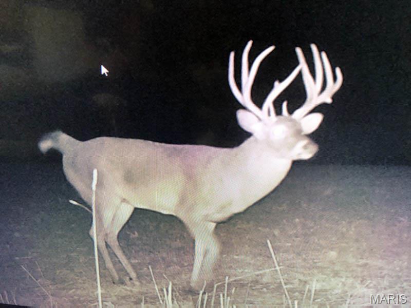 0 Outlet Road Valmeyer, IL 62295 - Photo 97 of 99