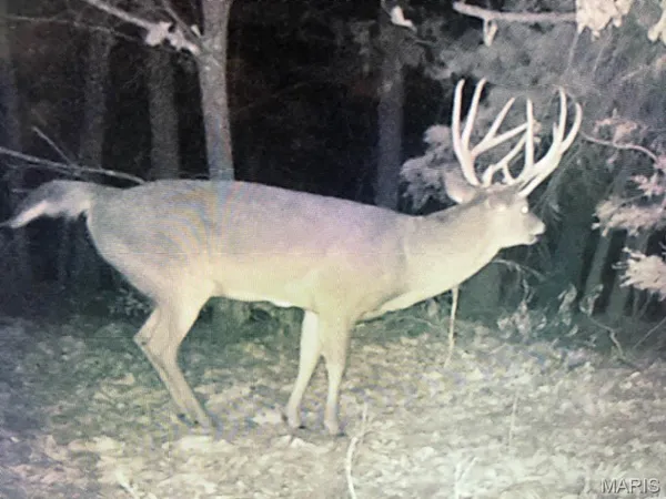 $900,000 | 0 Outlet Road, Valmeyer, IL 62295