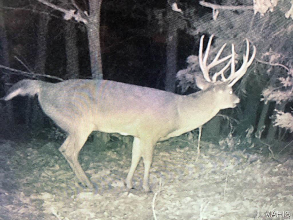 0 Outlet Road Valmeyer, IL 62295 - Photo 98 of 99