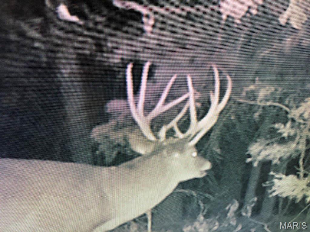 0 Outlet Road Valmeyer, IL 62295 - Photo 99 of 99