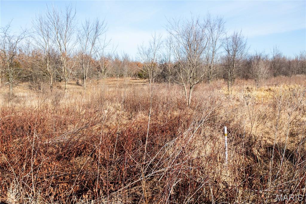 0 Outlet Road Valmeyer, IL 62295 - Photo 10 of 99